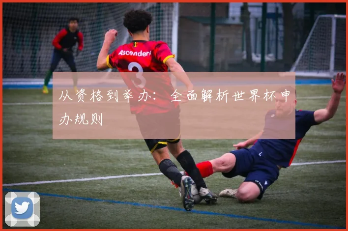 从资格到举办：全面解析世界杯申办规则